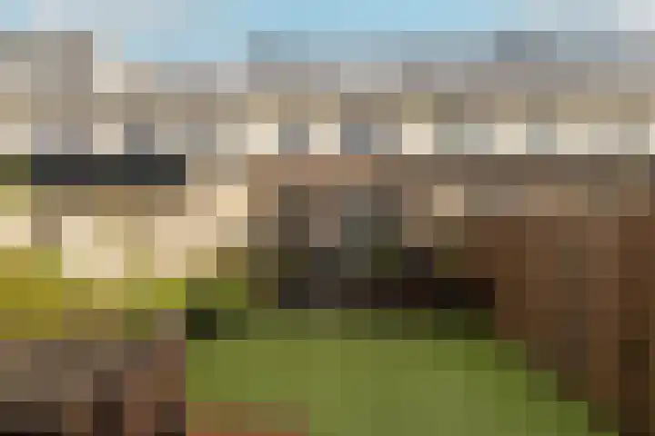 Caesar 8 Noordwijkerhout thumbnail 13