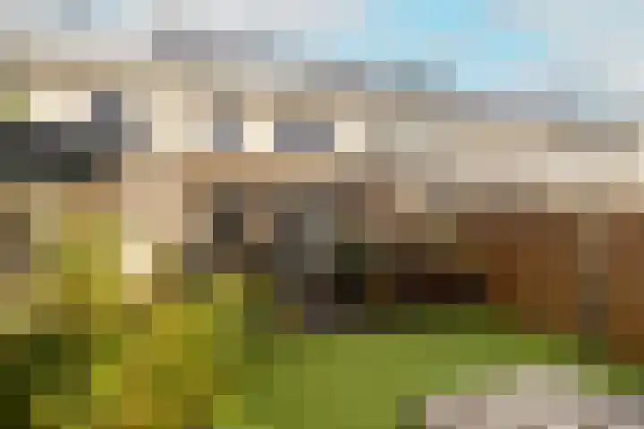 Caesar 8 Noordwijkerhout thumbnail 14