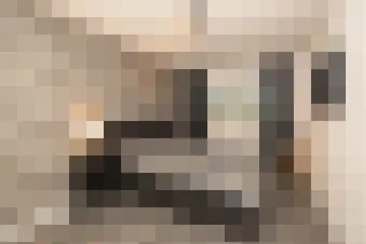 Caesar 8 Noordwijkerhout thumbnail 16
