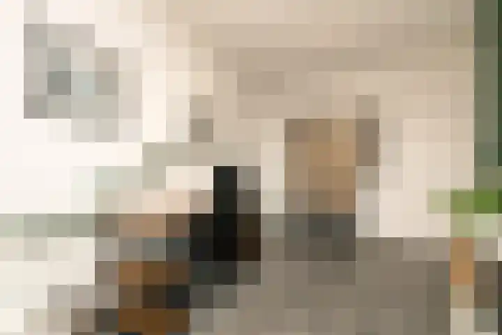 Caesar 8 Noordwijkerhout thumbnail 22