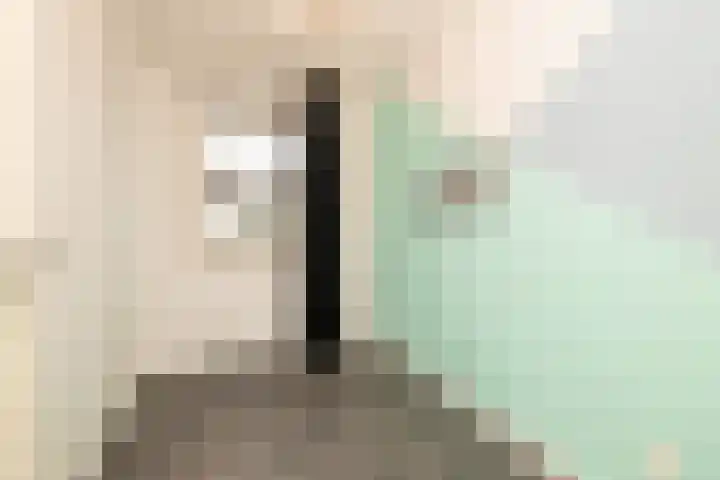 Caesar 8 Noordwijkerhout thumbnail 23