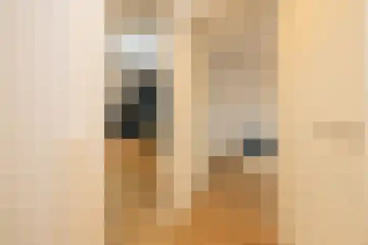 Caesar 8 Noordwijkerhout thumbnail 26