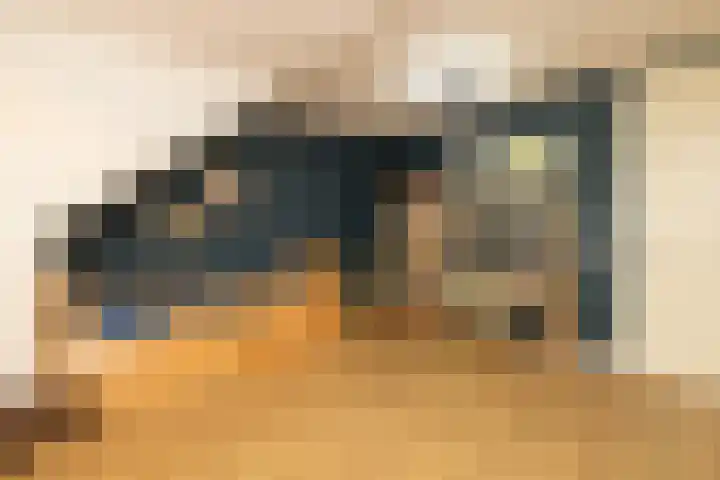 Caesar 8 Noordwijkerhout thumbnail 28