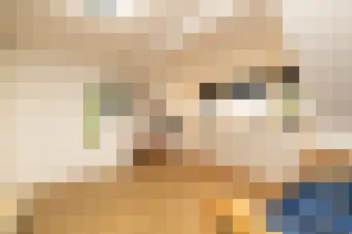 Caesar 8 Noordwijkerhout thumbnail 29