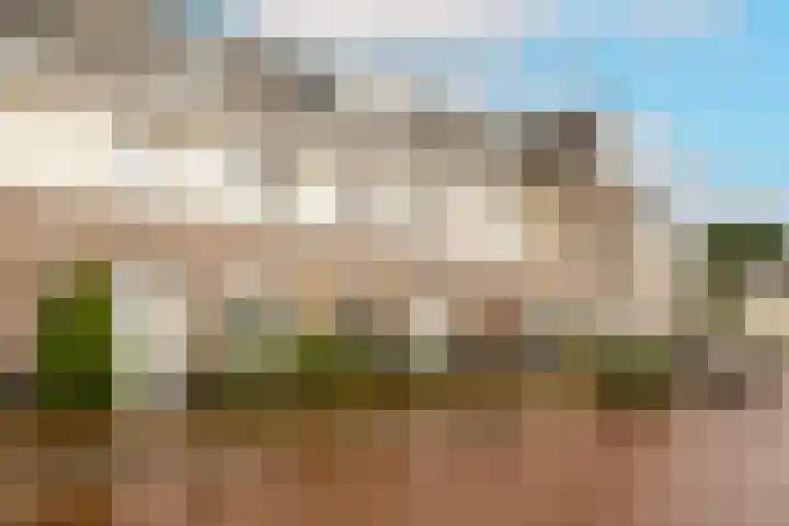 Caesar 8 Noordwijkerhout thumbnail 32