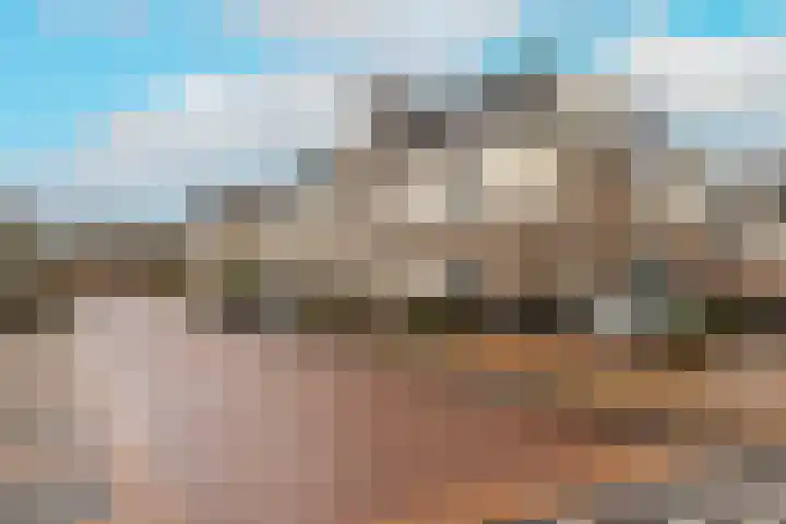Caesar 8 Noordwijkerhout thumbnail 33