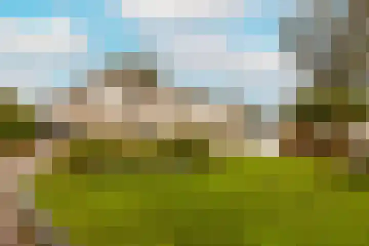 Caesar 8 Noordwijkerhout thumbnail 34