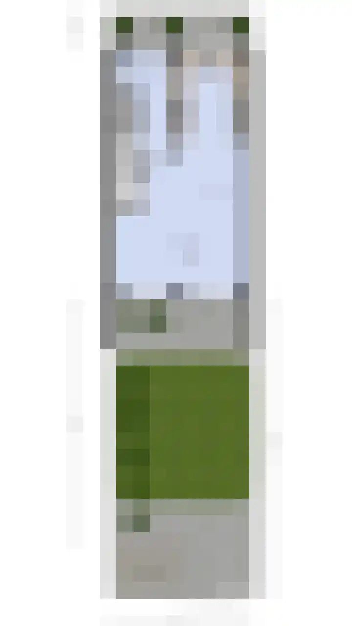 Caesar 8 Noordwijkerhout thumbnail 39