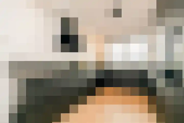 Caesar 8 Noordwijkerhout thumbnail 7