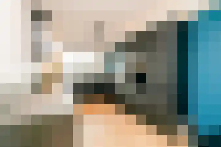 Caesar 8 Noordwijkerhout thumbnail 8