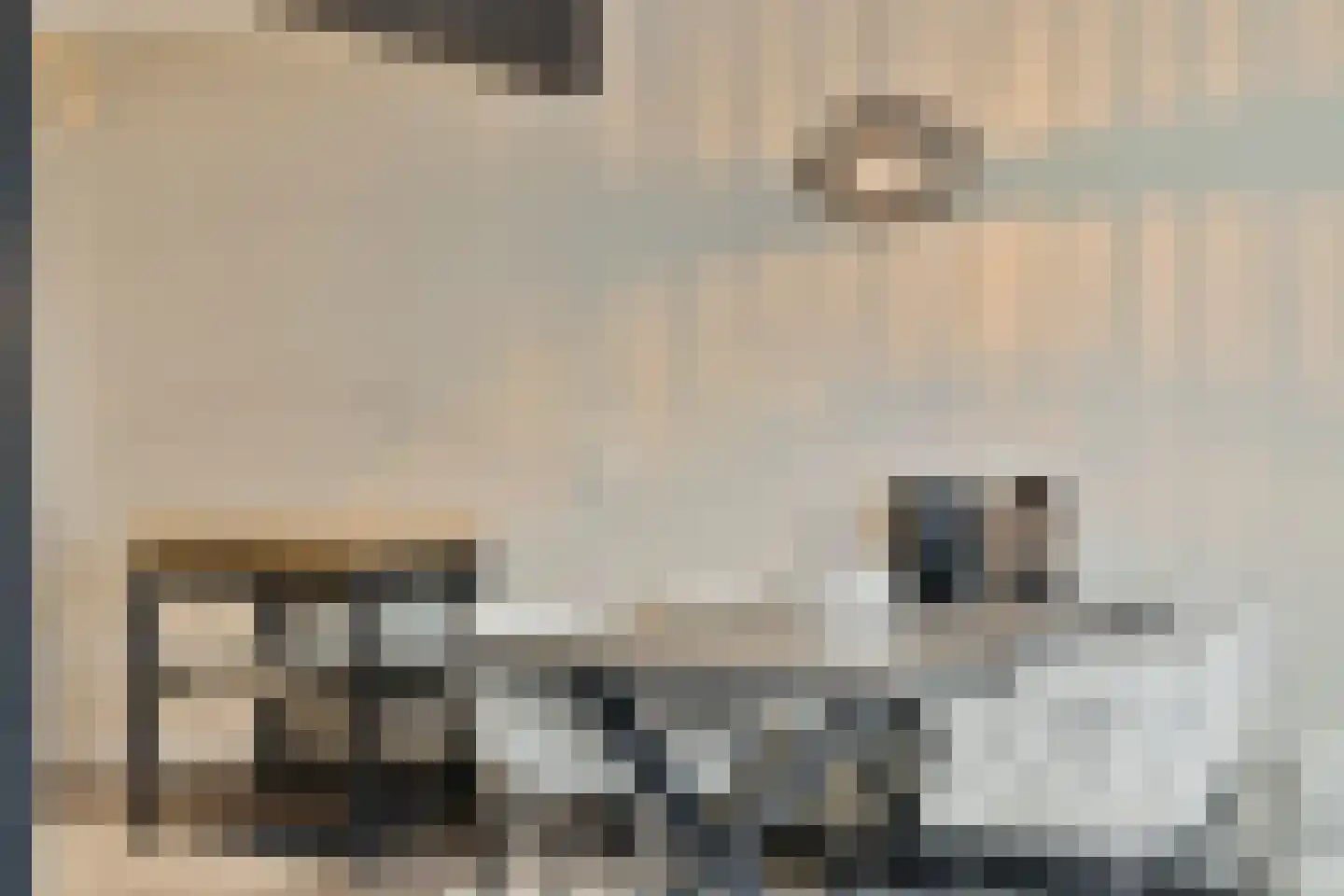 Caesarhof 10 A Maastricht thumbnail 14