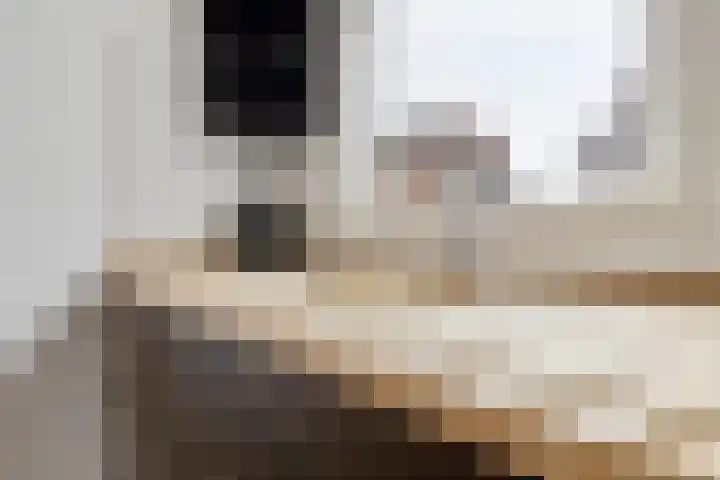 Caesarhof 24 B Maastricht thumbnail 20