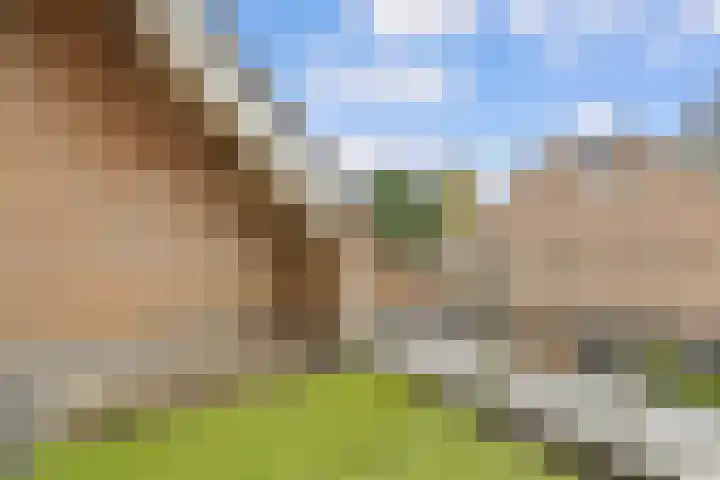 Caesarhof 24 B Maastricht thumbnail 25