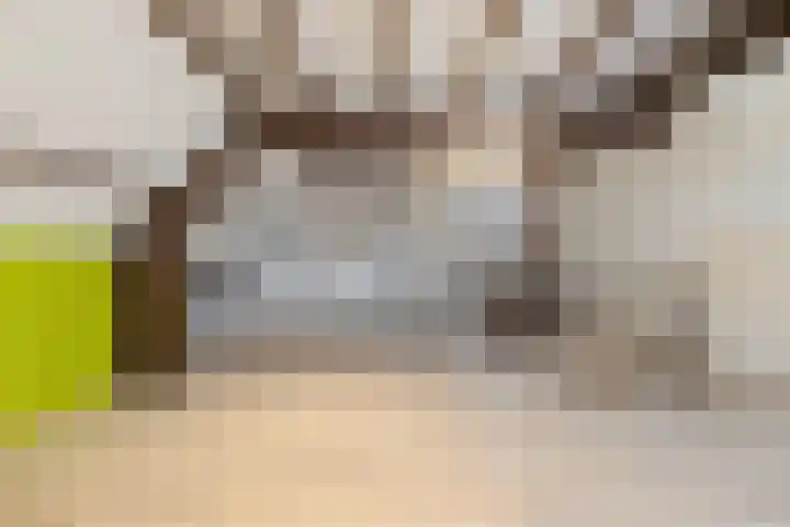 Caesarhof 24 B Maastricht thumbnail 39