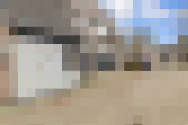 Caesarhof 24 B Maastricht thumbnail 4