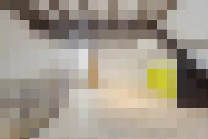 Caesarhof 24 B Maastricht thumbnail 40