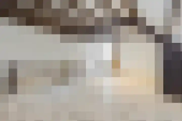 Caesarhof 24 B Maastricht thumbnail 42