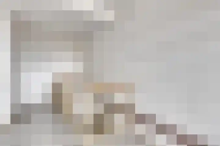Caesarhof 26 B Maastricht thumbnail 7