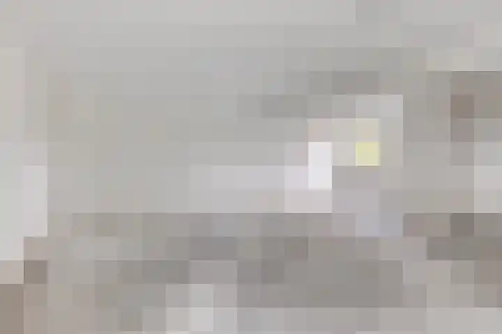 Caesarhof 26 B Maastricht thumbnail 8