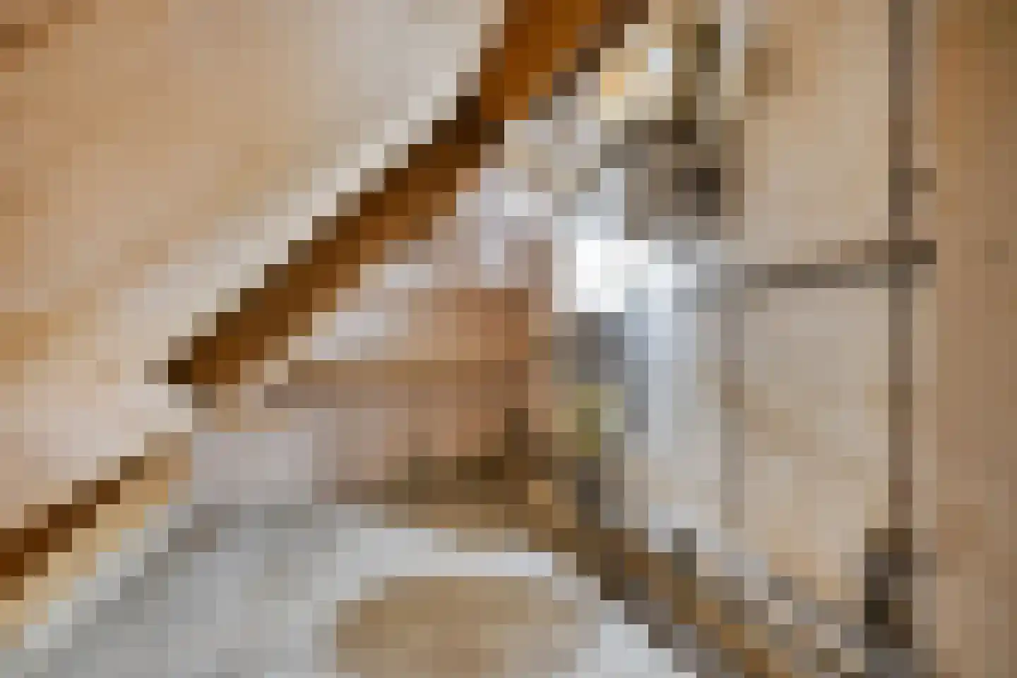 Caesarhof 30 B Maastricht thumbnail 16
