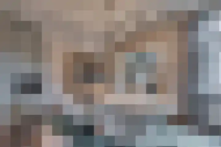 Caesarlaan 9 Venlo thumbnail 11