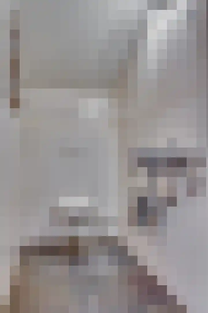 Caesarlaan 9 Venlo thumbnail 26