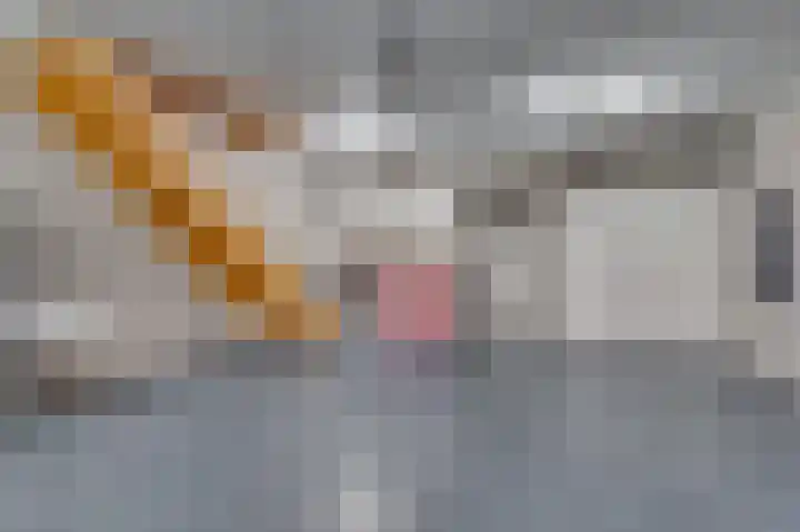 Caesarlaan 9 Venlo thumbnail 30