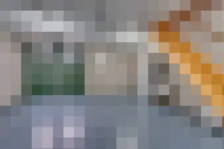 Caesarlaan 9 Venlo thumbnail 31