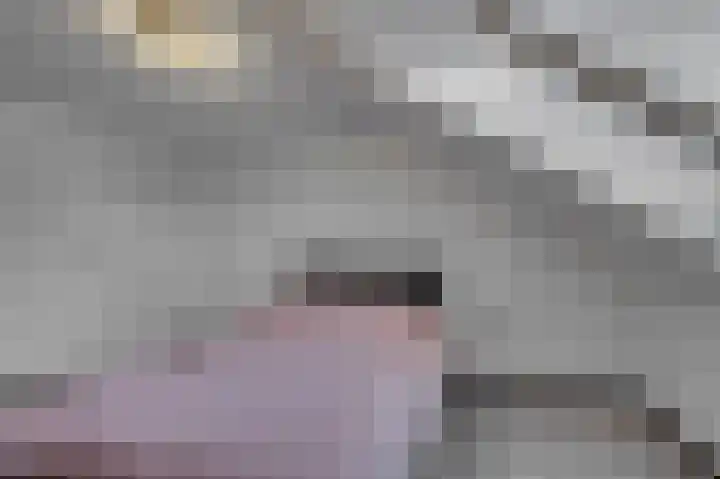 Caesarlaan 9 Venlo thumbnail 35