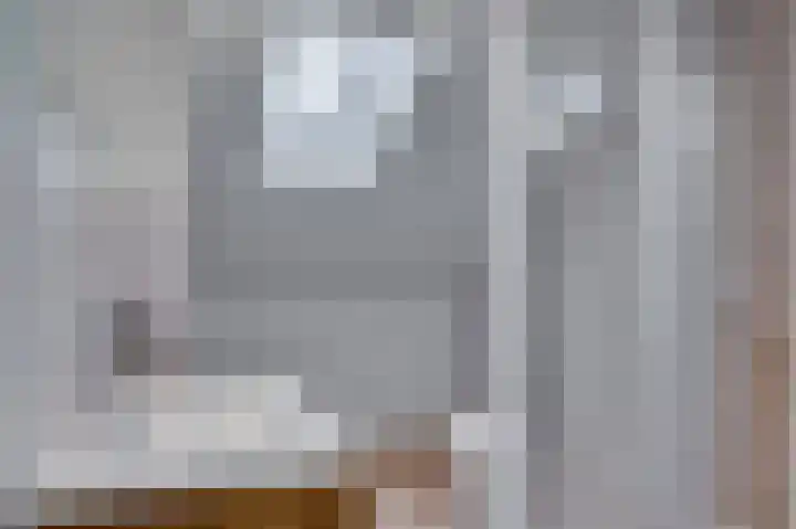Caesarlaan 9 Venlo thumbnail 41
