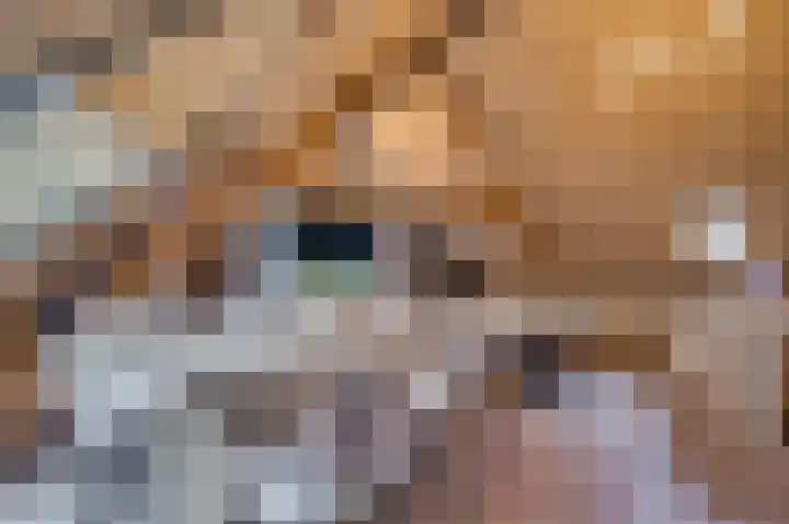 Caesarlaan 9 Venlo thumbnail 47