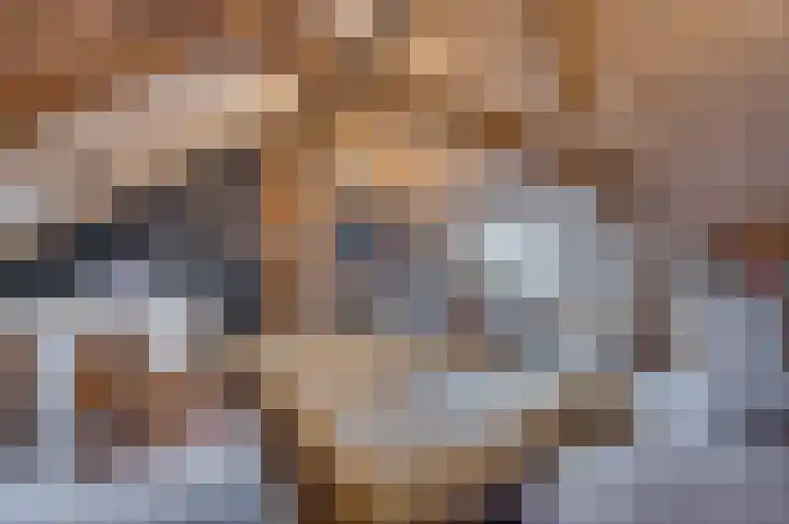 Caesarlaan 9 Venlo thumbnail 49