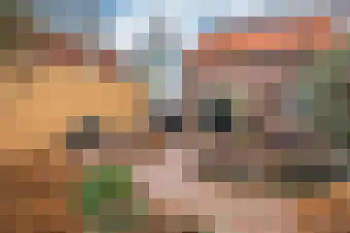 Caesarlaan 9 Venlo thumbnail 53