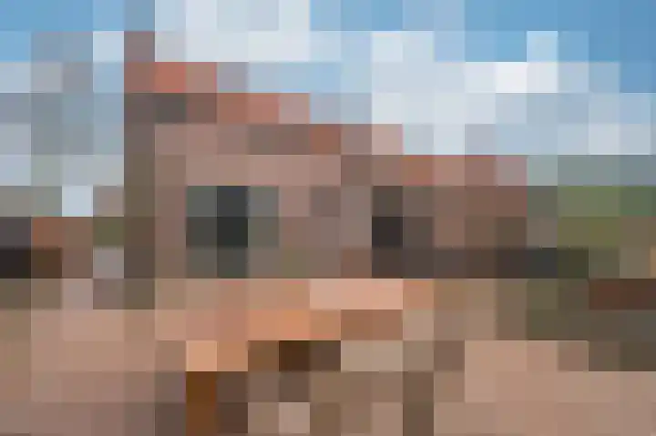 Caesarlaan 9 Venlo thumbnail 54