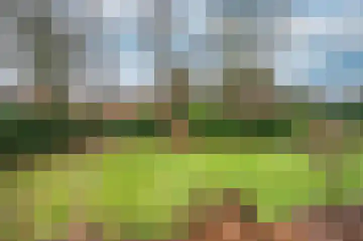 Caesarlaan 9 Venlo thumbnail 57