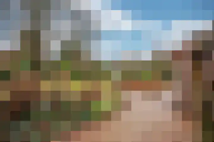 Caesarlaan 9 Venlo thumbnail 58
