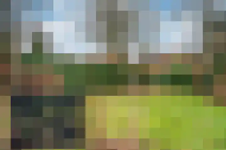 Caesarlaan 9 Venlo thumbnail 59