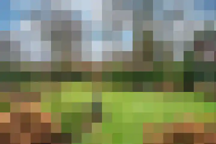 Caesarlaan 9 Venlo thumbnail 60