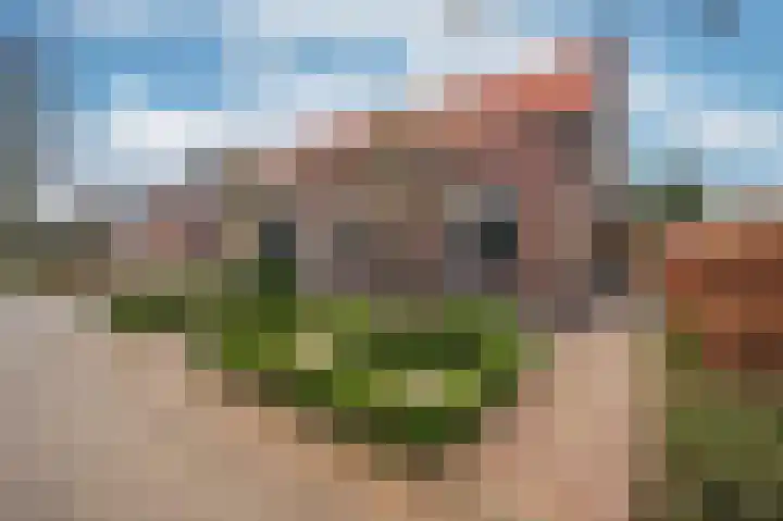 Caesarlaan 9 Venlo thumbnail 66