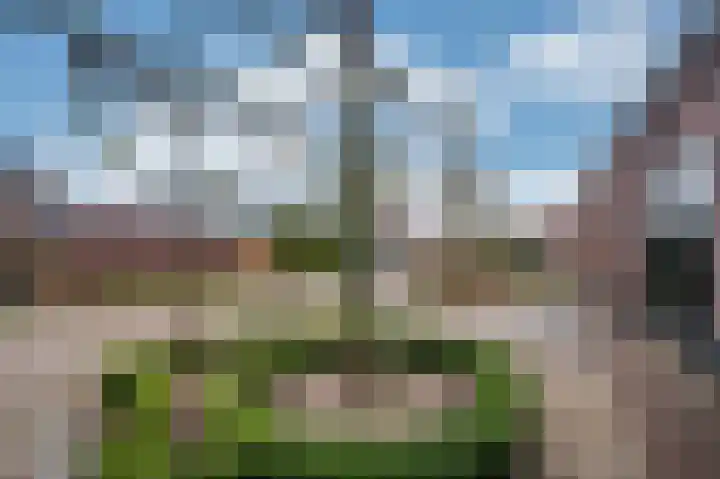 Caesarlaan 9 Venlo thumbnail 68