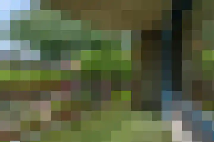 Caesarstraat 8 Nijmegen thumbnail 7