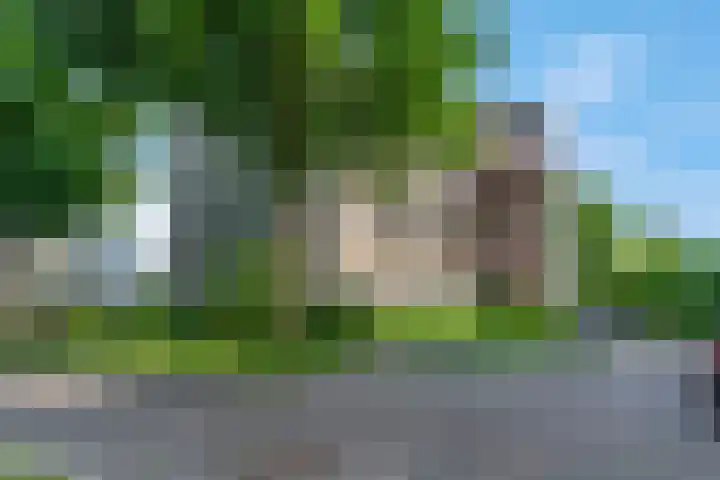 Caesarstraat 8 Nijmegen thumbnail 8