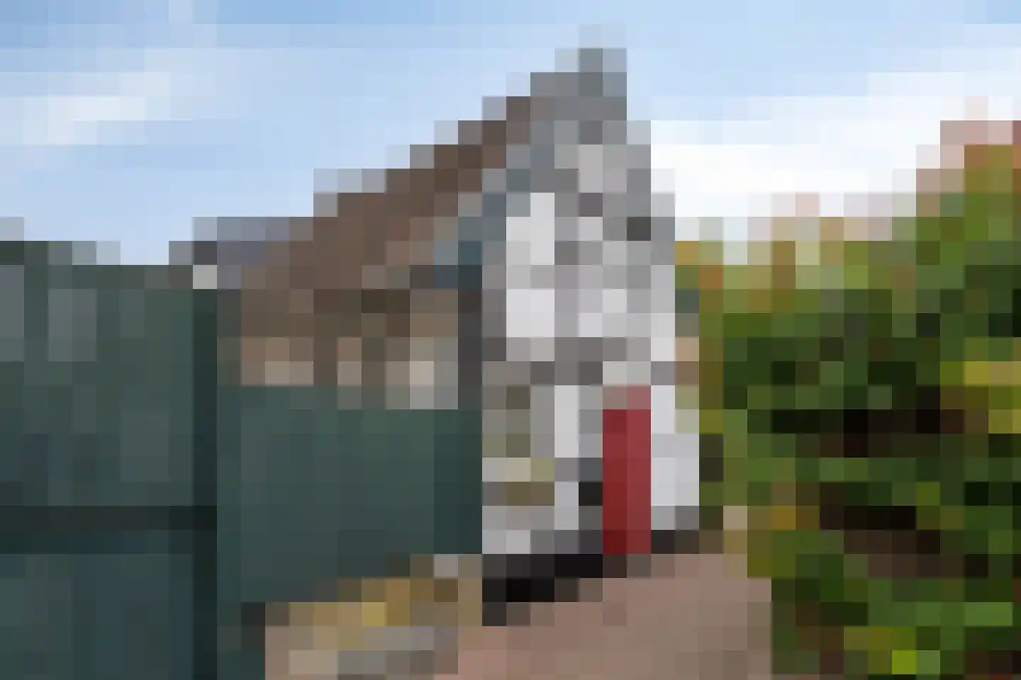 Caestertstegen 4 Eijsden