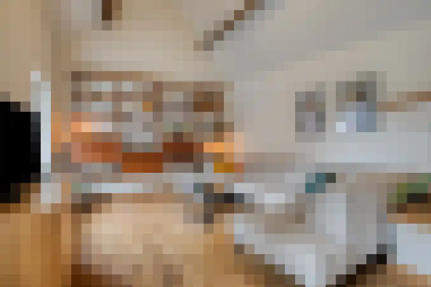 Caestertstegen 4 Eijsden thumbnail 13