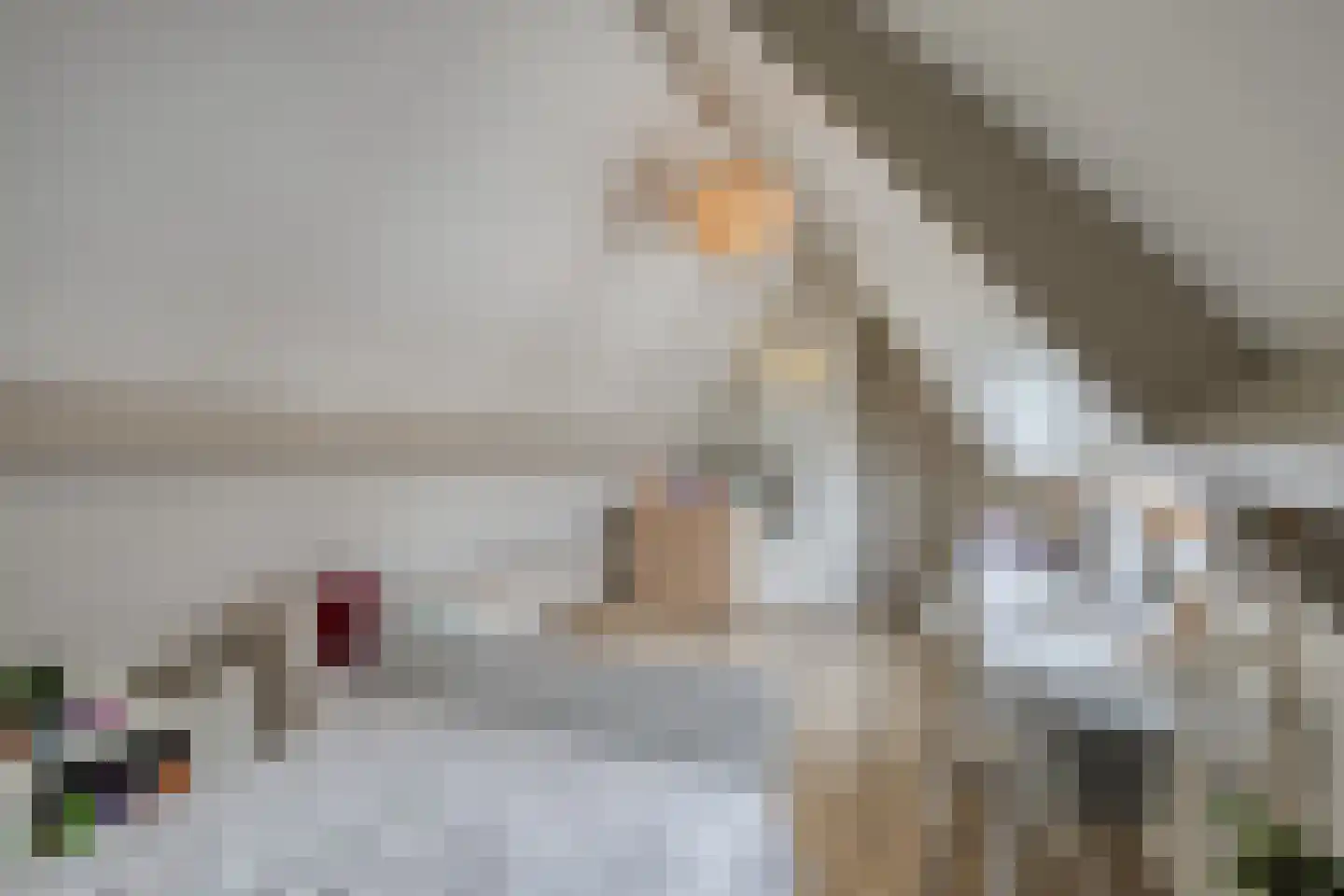 Caestertstegen 4 Eijsden thumbnail 22
