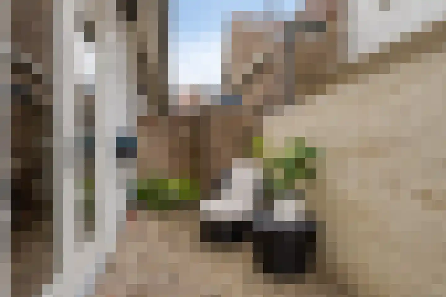 Caestertstegen 4 Eijsden thumbnail 30