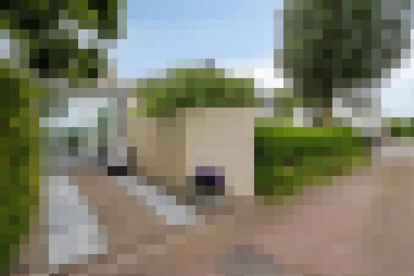 Caestertstegen 4 Eijsden thumbnail 34