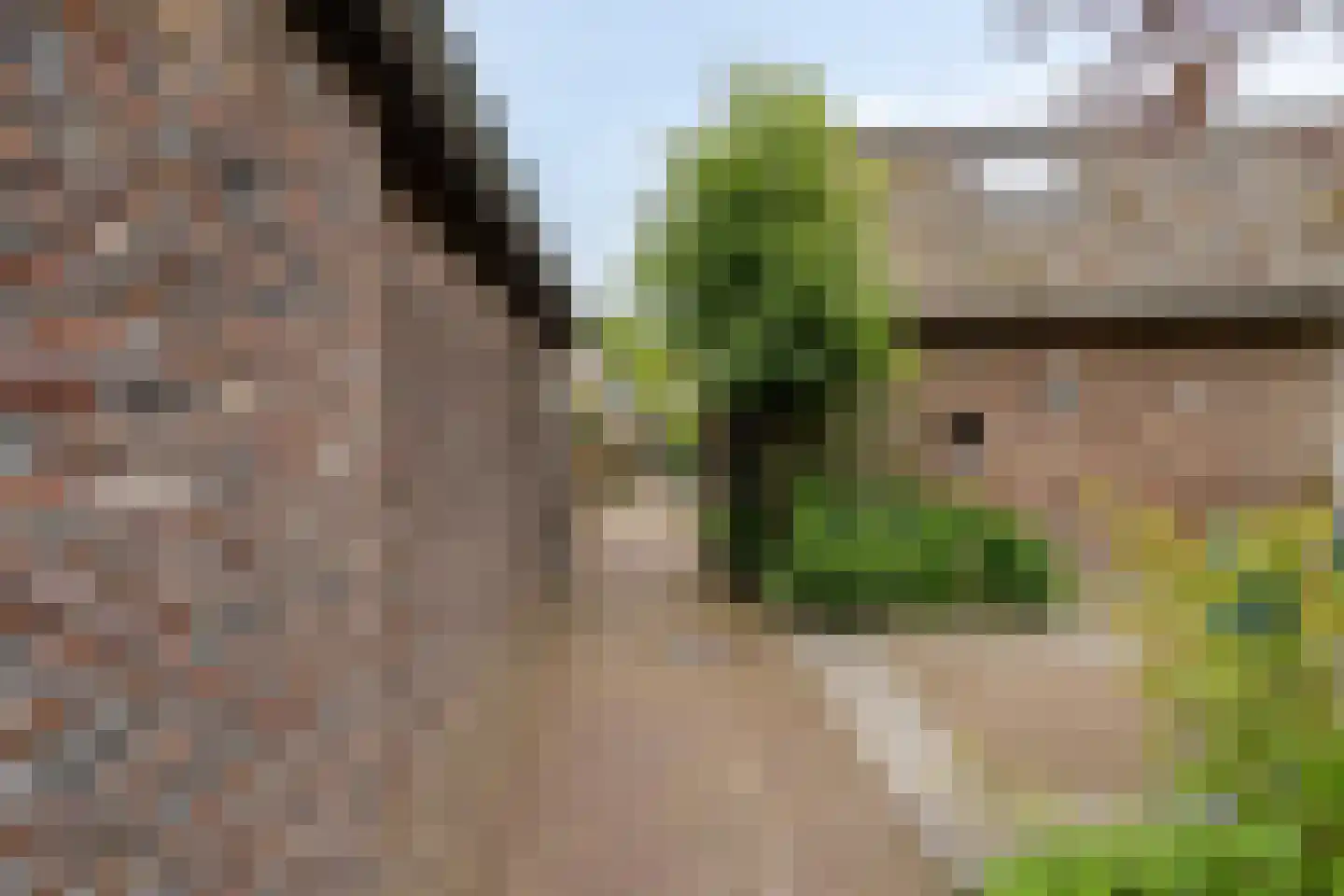 Caestertstegen 4 Eijsden thumbnail 36