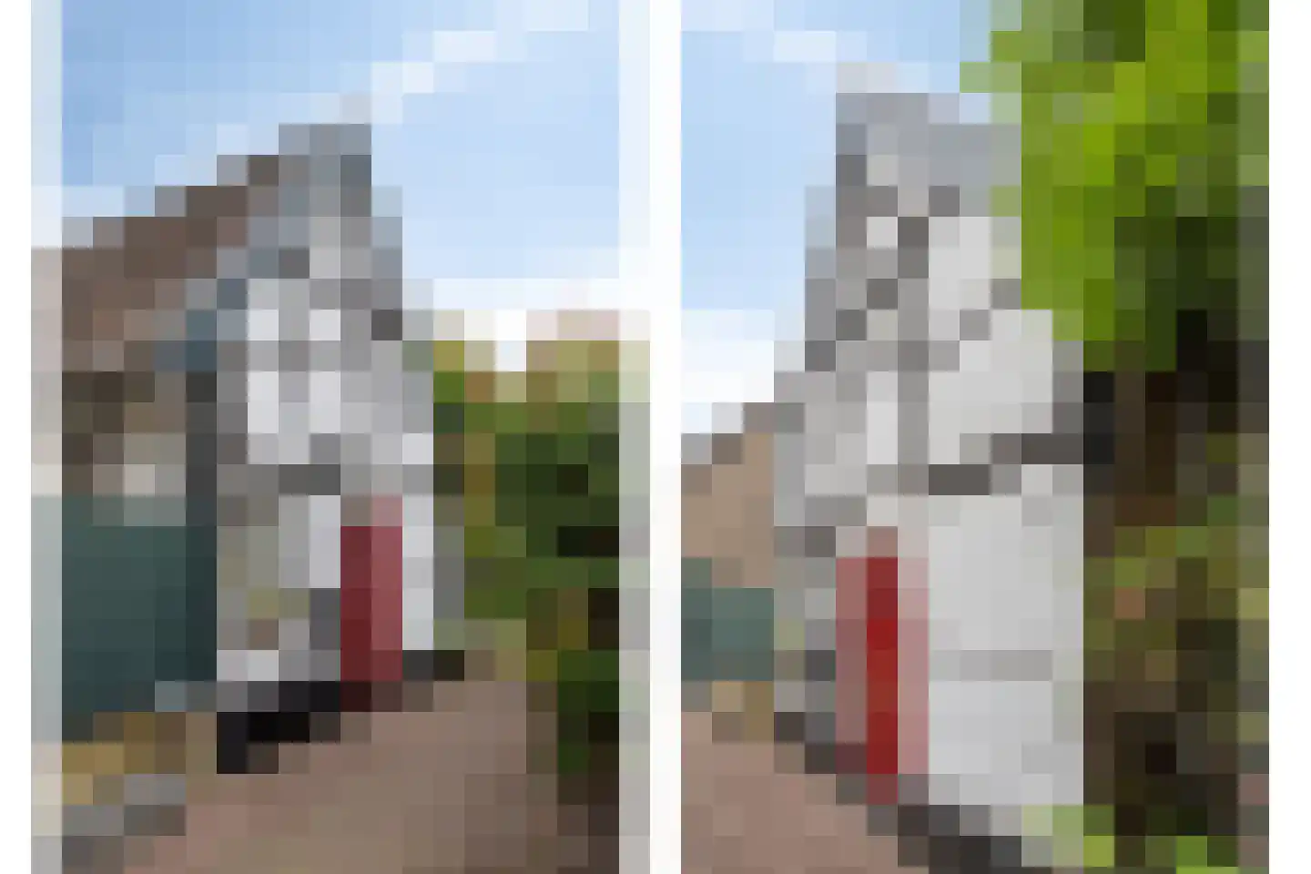 Caestertstegen 4 Eijsden thumbnail 39