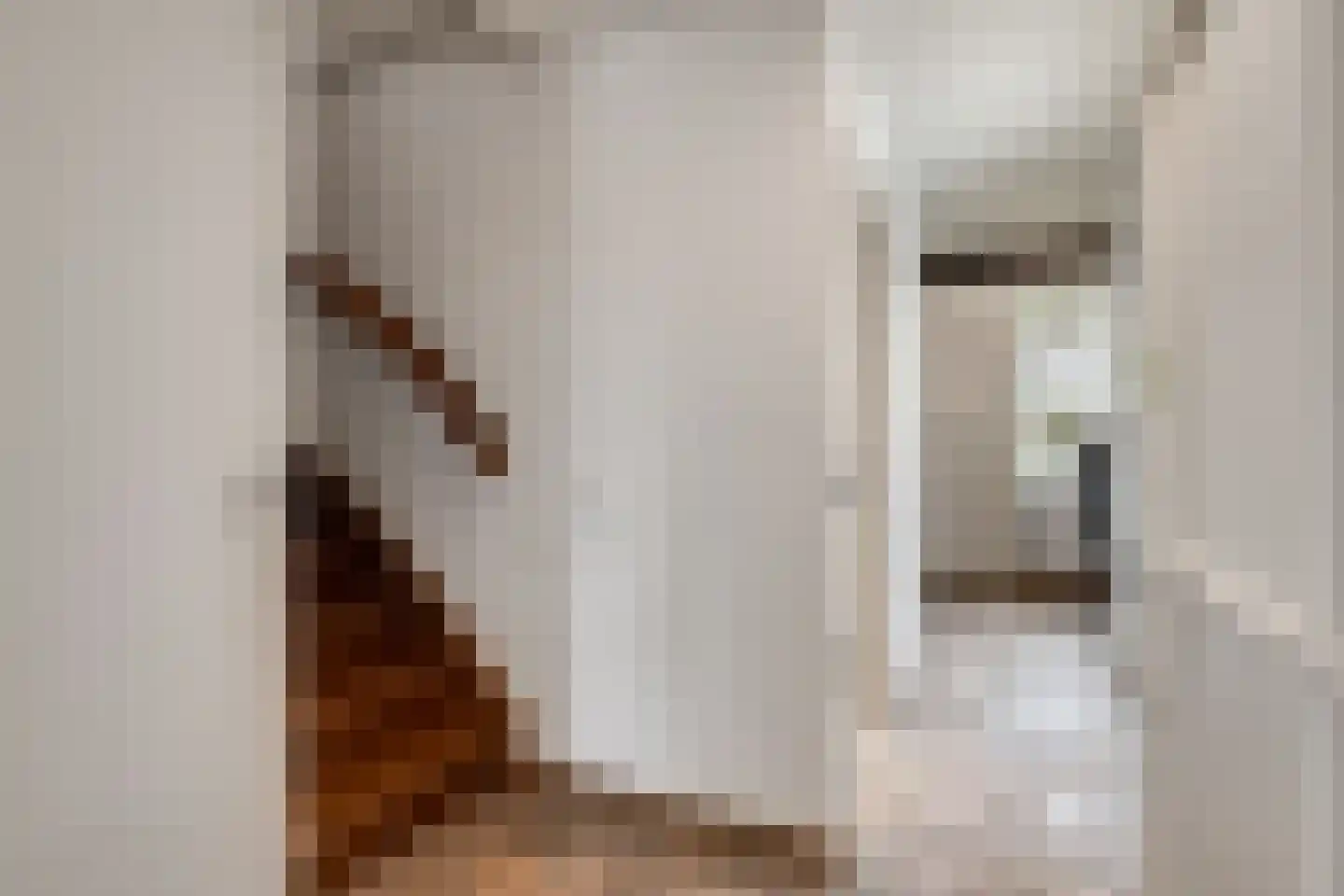 Caestertstegen 4 Eijsden thumbnail 5